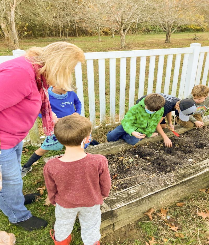 A blond teacher stands outside watching over 4 young boys who are gardening in a raised bed