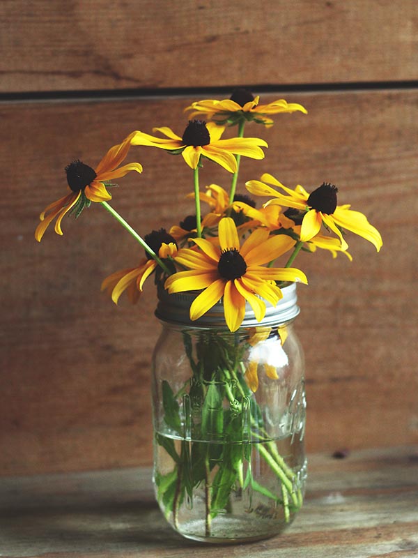 Black-eyed Susan flowers in a mason jar sitting on a wood table