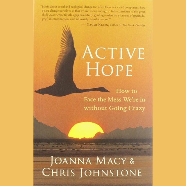 Book cover for Active Hope, featuring a Canadian Goose as a silhouette against the sunrise across the water. Mountains are visible in the far distance.