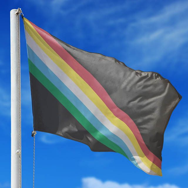 A disability pride flag on a pole waving in the breeze