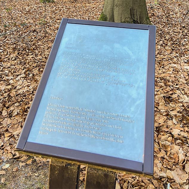 An informational sign along the forest walkway with braille translation