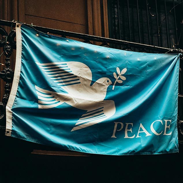 A blue flag with a white peace dove on it.