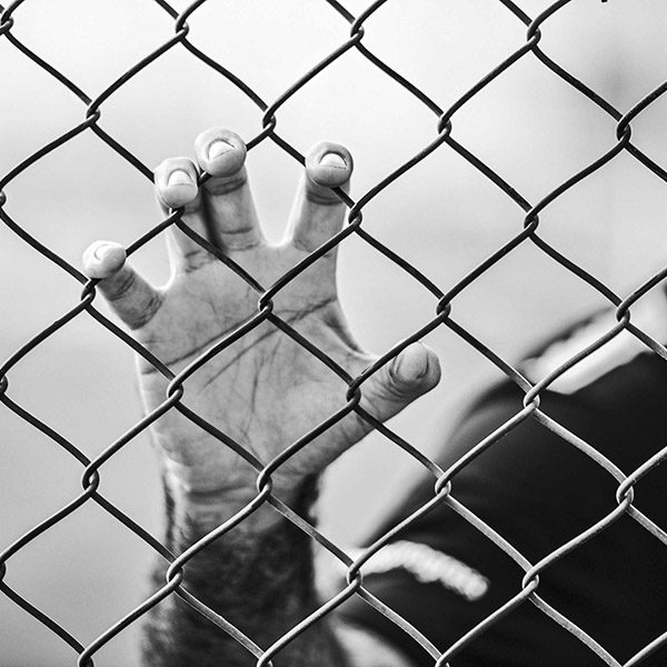 Black-and-white photo of a hand clutching onto a chain link fence. The man's arm and shoulder are seen soft-focus