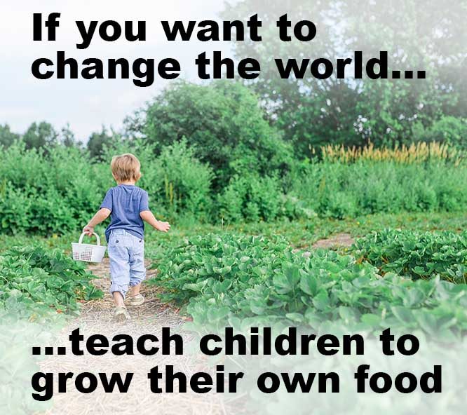 Young boy seen from the back walking through a large garden holding a basket to collect vegetables. Text overlay reads: If you want to change the world, teach children to grow their own food