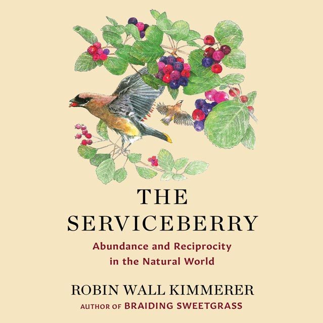 Illustrated book cover of 2 birds eating berries off a bush. Text reads The Serviceberry: Abundance and Reciprocity in the Natural World. Robin Wall Kimmerer, Author of Braiding Sweetgrass