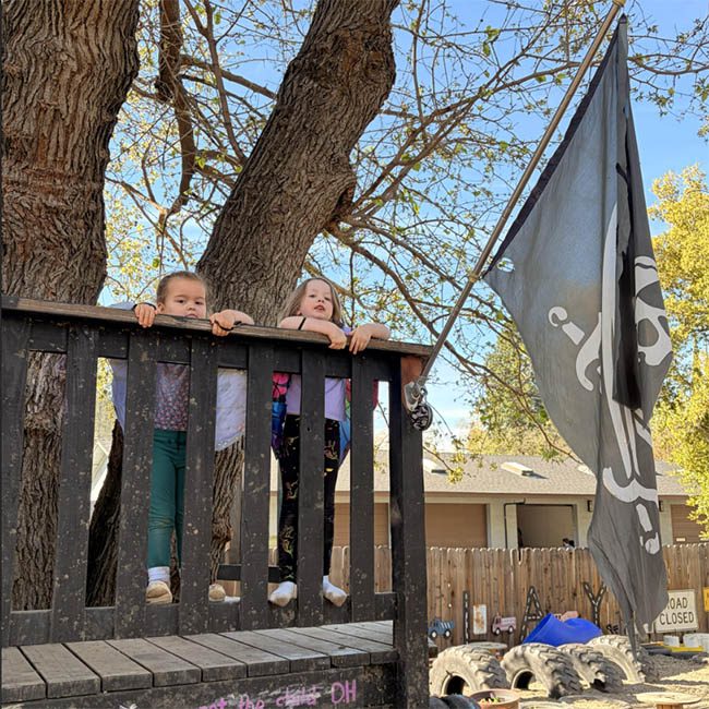 Two young children stand on the railing of a tree house with a pirate flag waving from the railing.