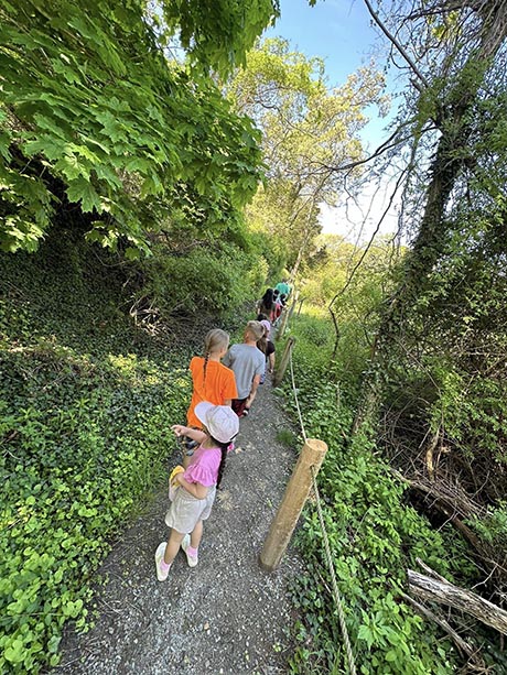 Young children on a hiking trail foraging for mushrooms