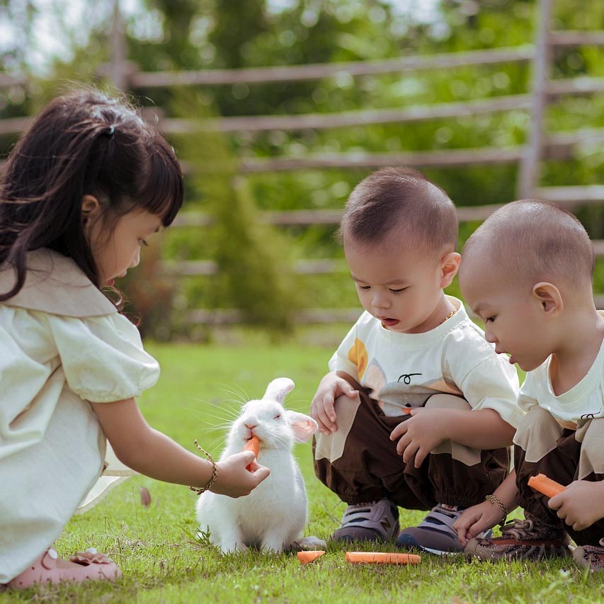 Three young children feed carrots to a white rabbit in a meadow.