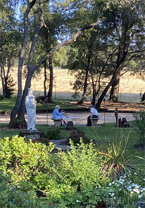 A group of 4 middle-aged women chat while standing in the gardens.