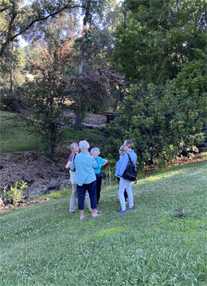 4 middle-aged women sit in the gardens talking.