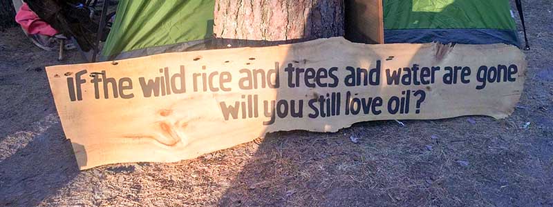 Wood sign leaning against a tree that reads: If the wild rice and trees are gone will you still love oil?