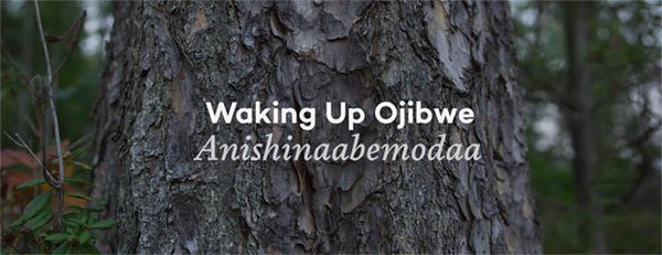 Words "Waking Up Ojibwe, Anishinaabemodaa" overlaid over a photo of a tree trunk.